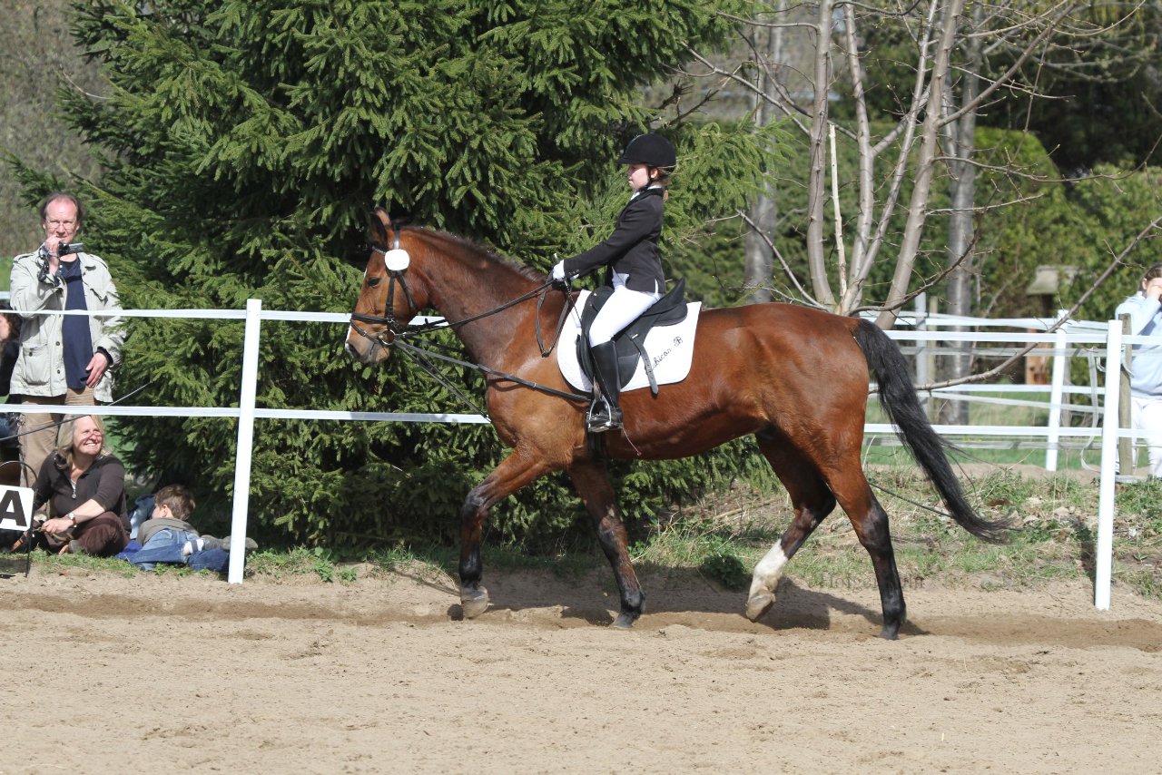 Bild 904 - WBO-Turnier am 9.4.11